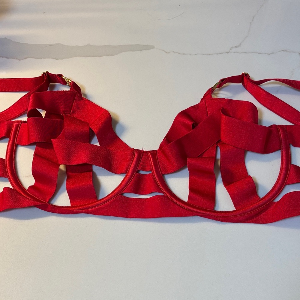 Red Cage VS Bra